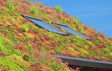 St Germans living roof systems